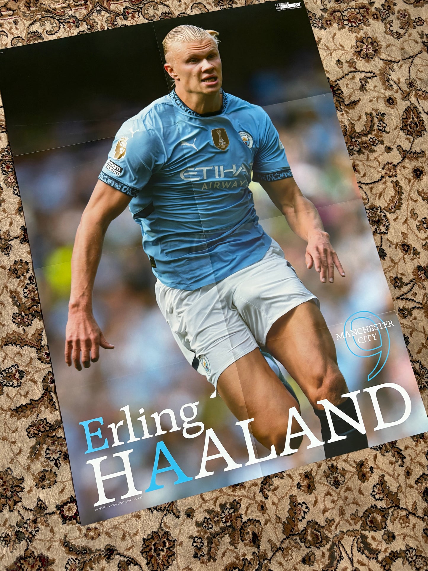 Haaland / Lautaro Martinez poster