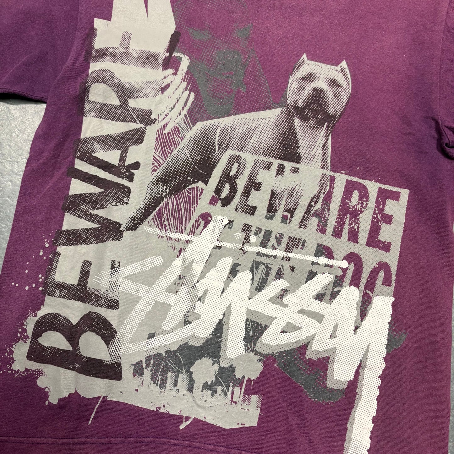 Stussy purple beware of the dogs graphic tee (S)