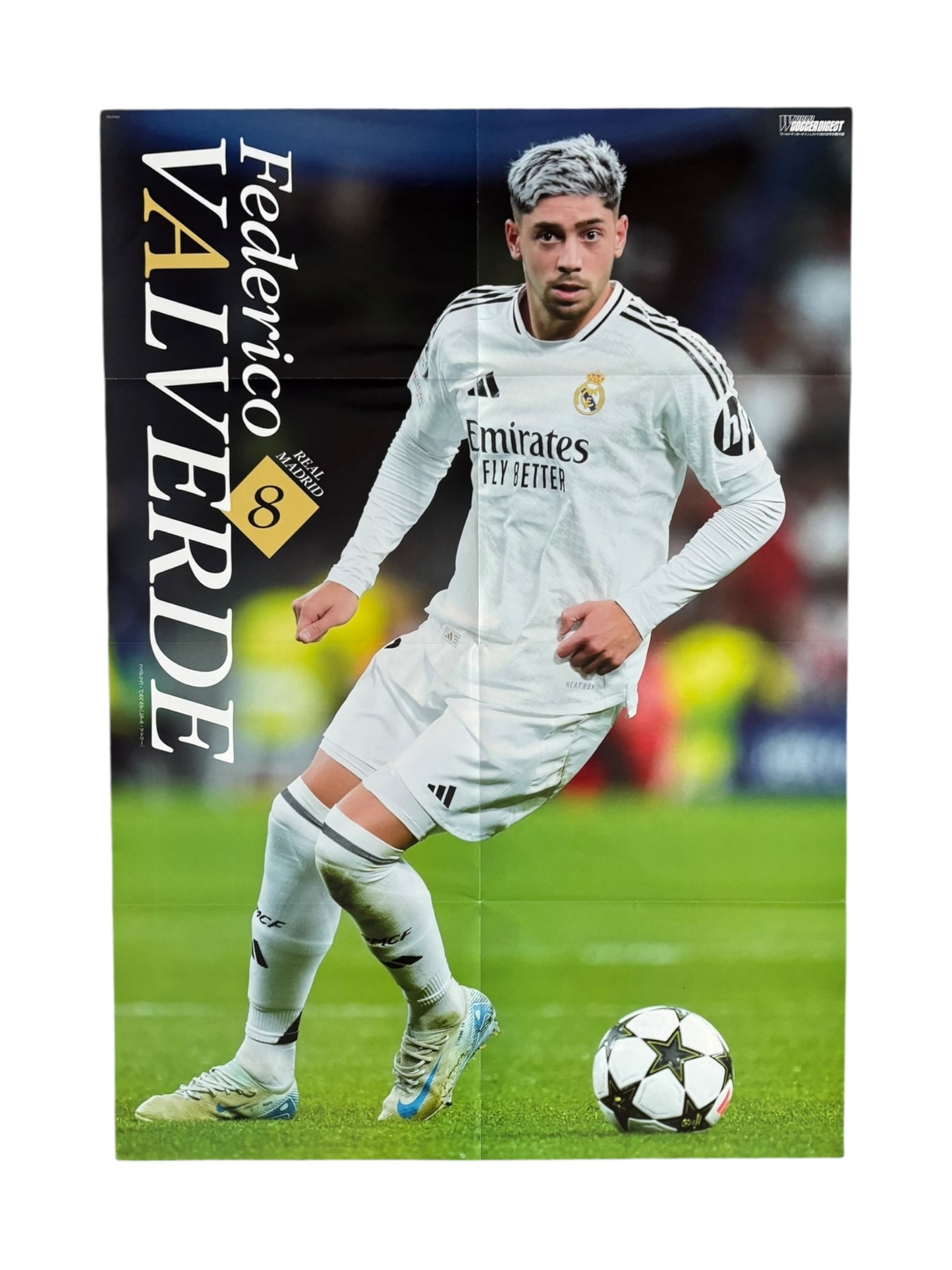 Christian Pulisic / Valverde poster