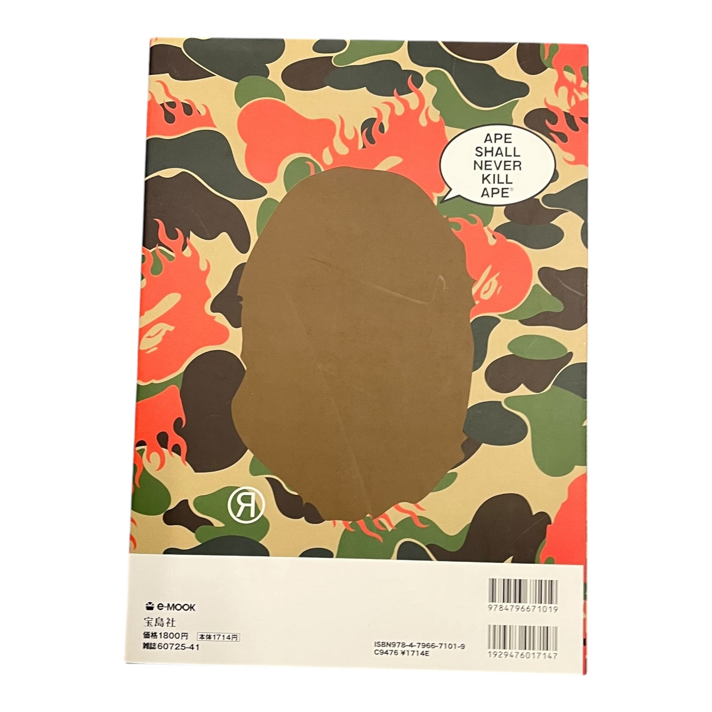 BAPE 2009 lookbook with stickers