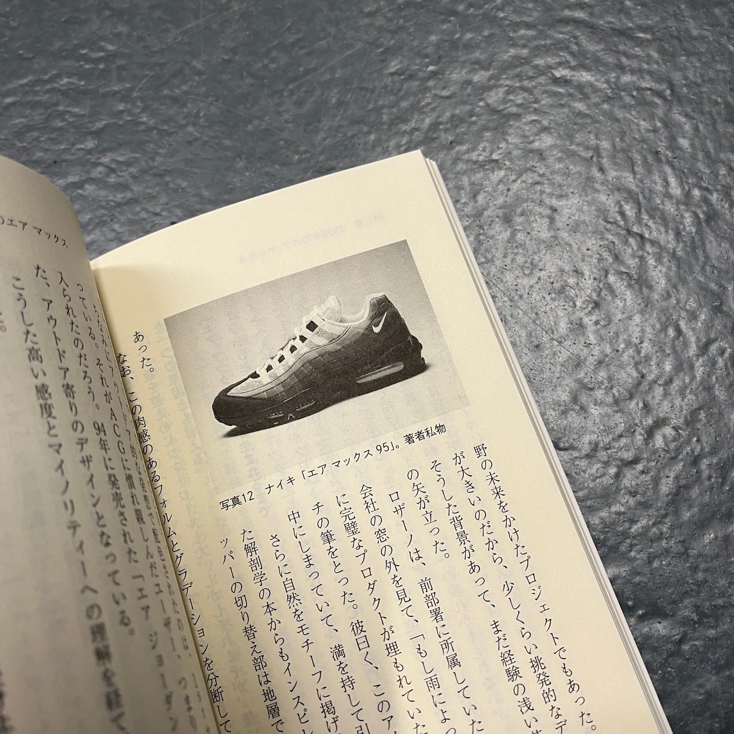 Nike air max 95 book small