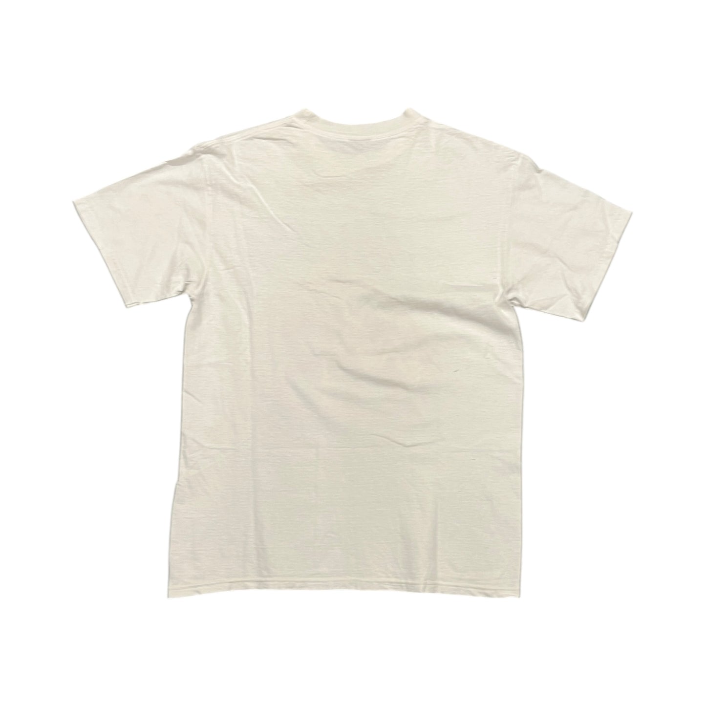 Stussy white skateboard tee (M)