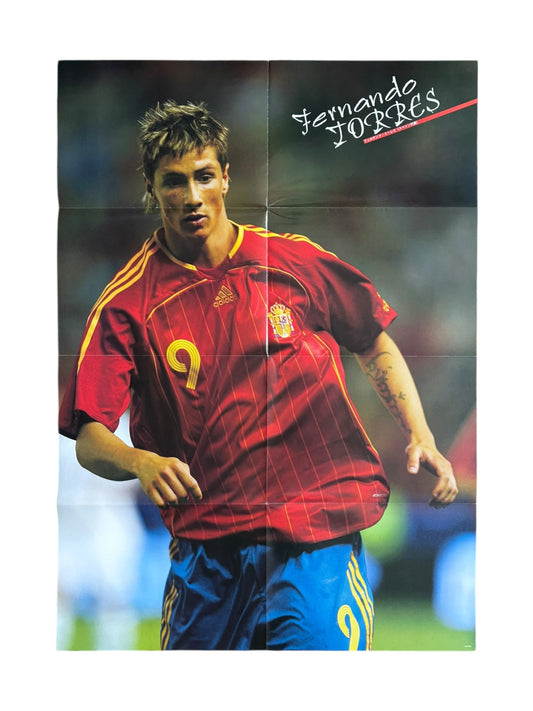 Fernando Torres / Del Piero poster