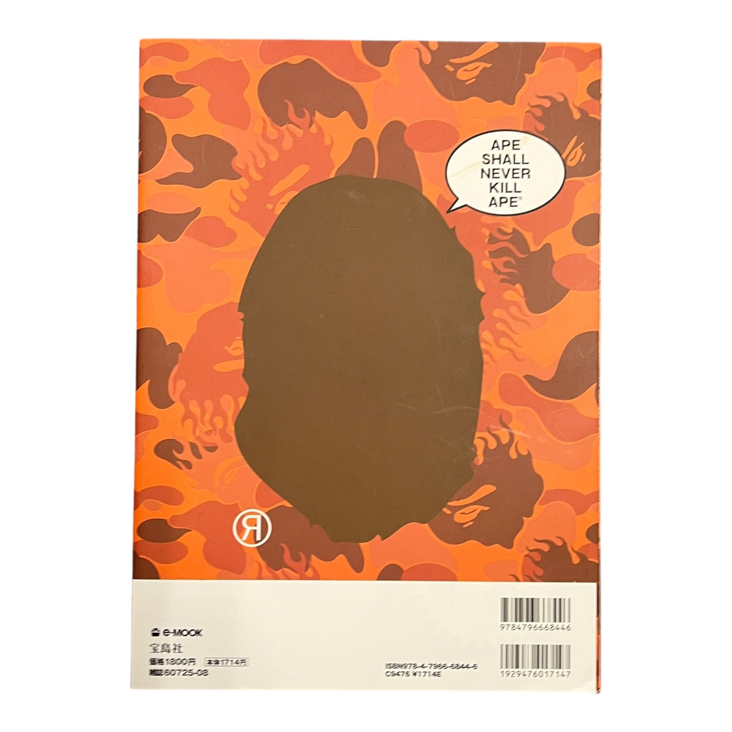 BAPE 2009 lookbook with stickers