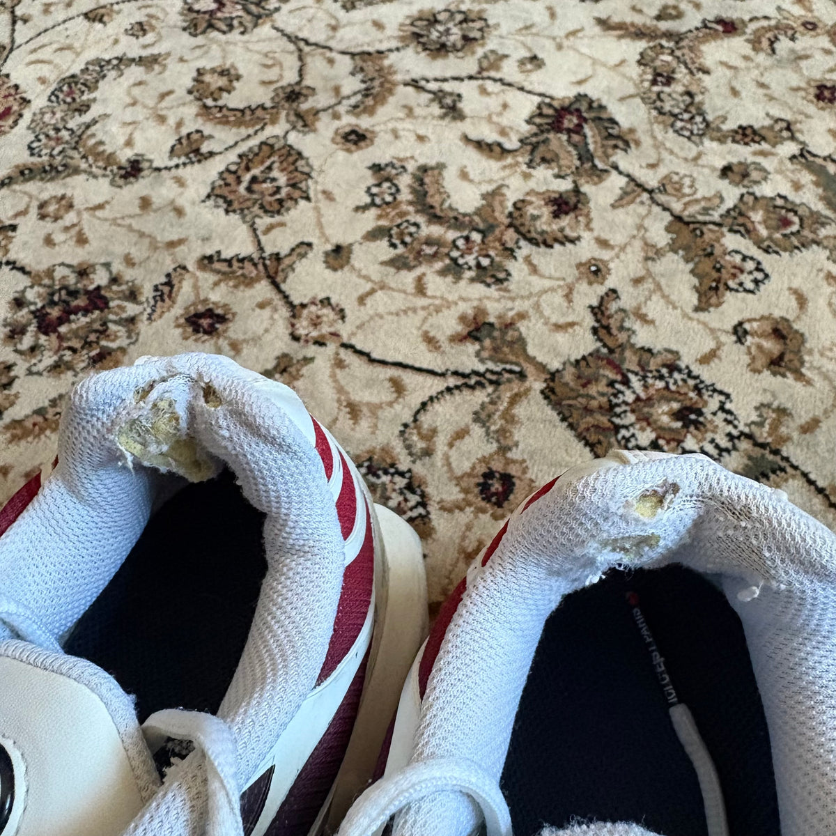 Nike air max plus TN PSG (UK10)