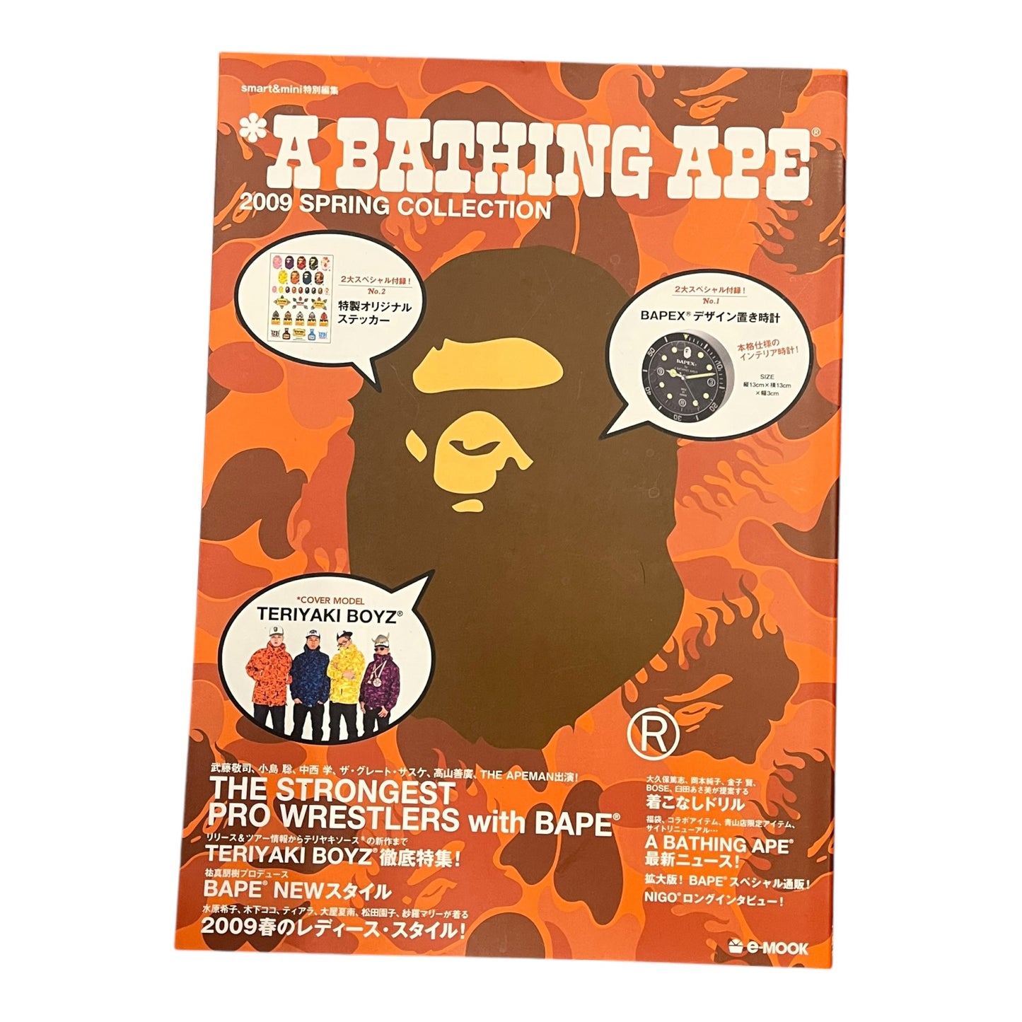 BAPE 2009 lookbook with stickers
