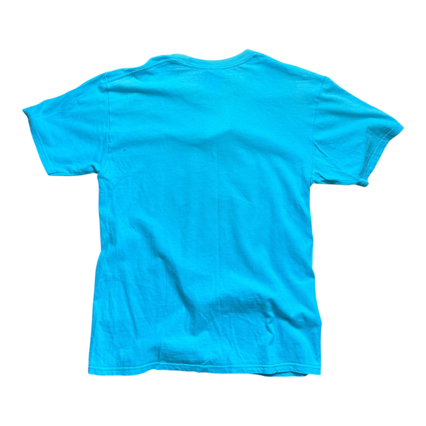 Stussy blue lion tee (M)